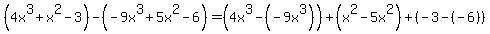 (4x^3+x^2-3) - (-9x^3+5x^2-6)=(4x^3-(-9x^3))+(x^2-5x^2)+(-3-(-6))