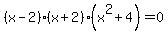 %28x-2%29%2A%28x%2B2%29%2A%28x%5E2%2B4%29=0