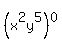 +%28x%5E2y%5E5%29%5E0+