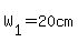 W[1]=20cm
