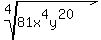root(4,81x^4y^(20))