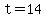 t = 14