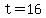 t = 16