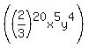 %28%282%2F3%29%5E20x%5E5y%5E4%29