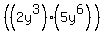 %28%282y%5E3%29%285y%5E6%29%29