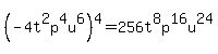 %28-4t%5E2p%5E4u%5E6%29%5E4=256t%5E8p%5E16u%5E24