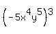 %28-5x%5E4y%5E5%29%5E3%29