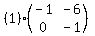 %281%29%28matrix%282%2C2%2C-1%2C-6%2C0%2C-1%29%29