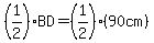 %281%2F2%29BD=%281%2F2%29%2890cm%29