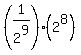 %281%2F2%5E9%29%282%5E8%29