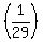 %281%2F29%29