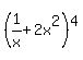 %281%2Fx%2B2x%5E2%29%5E4