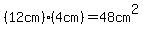 %2812cm%29%284cm%29+=+48cm%5E2