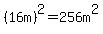 %2816m%29%5E2+=+256+m%5E2
