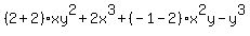%282%2B2%29xy%5E2%2B2x%5E3%2B%28-1-2%29x%5E2y-y%5E3