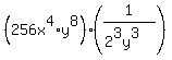 %28256x%5E4%2Ay%5E8%29%2A%281%2F%282%5E3y%5E3%29%29
