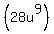 %2828u%5E9%29%29