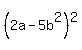 %282a-5b%5E2%29%5E2