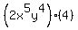 %282x%5E5y%5E4%29%284%29