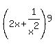 %282x+%2B+1%2Fx%5E2%29%5E9