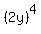 %282y%29%5E4