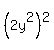 %282y%5E2%29%5E2