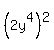 %282y%5E4%29%5E2