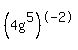 %284g%5E5%29%5E-2