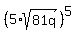 %285%2Asqrt%2881q%29%29%5E5