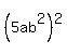 %285ab%5E2%29%5E2