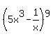 %285x%5E3+-+1%2Fx%29%5E9