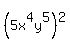 %285x%5E4y%5E5%29%5E2
