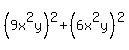 %289x%5E2y%29%5E2%2B%286x%5E2y%29%5E2