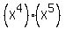 %28X%5E4%29%2A%28X%5E5%29