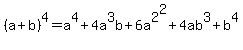 %28a%2Bb%29%5E4+=+a%5E4+%2B+4a%5E3b+%2B+6a%5E2%5E2+%2B+4ab%5E3+%2B+b%5E4