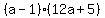 %28a-1%29%2812a%2B5%29