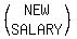 %28matrix%282%2C1%2CNEW%2CSALARY%29%29
