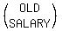 %28matrix%282%2C1%2COLD%2CSALARY%29%29