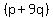 %28p%2B9q%29
