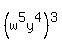 %28w%5E5y%5E4%29%5E3