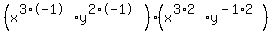 %28x%5E%283%2A-1%29y%5E%282%2A-1%29%29%2A%28x%5E%283%2A2%29y%5E%28-1%2A2%29%29