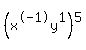%28x%5E-1y%5E1%29%5E5