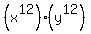%28x%5E12%29%28y%5E12%29