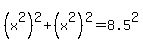 %28x%5E2%29%5E2%2B%28x%5E2%29%5E2=8.5%5E2