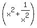 %28x%5E2%2B1%2Fx%5E2%29