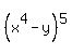 %28x%5E4+-y%29%5E5