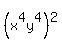 %28x%5E4y%5E4%29%5E2