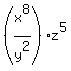 %28x%5E8%2Fy%5E2%29z%5E5%29