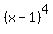 %28x-1%29%5E4