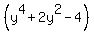 %28y%5E4%2B2y%5E2-4%29